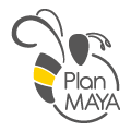 plan maya